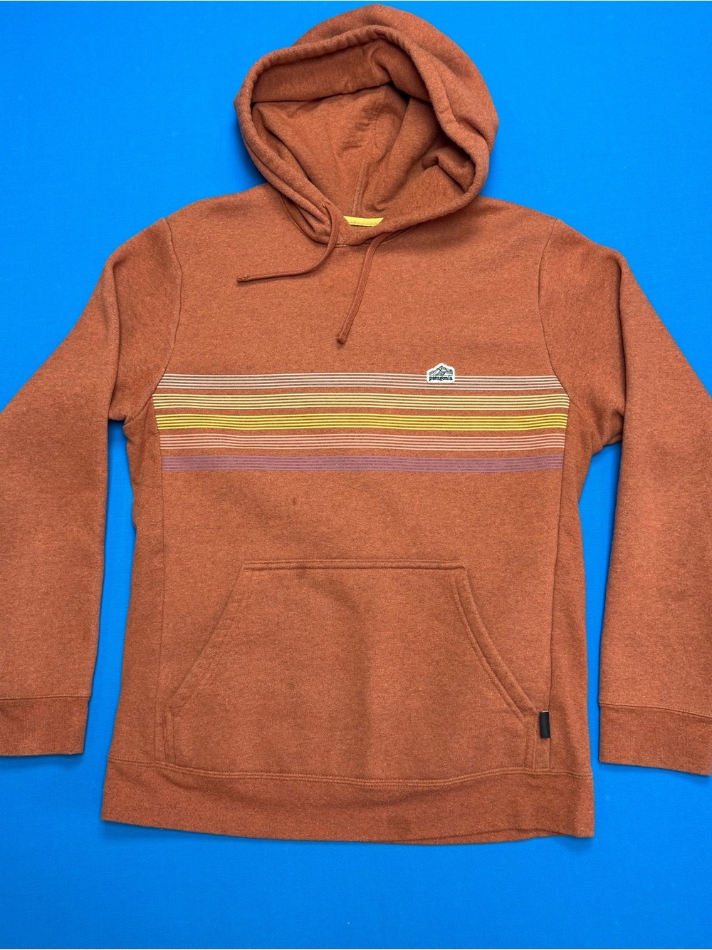 Patagonia Line Logo Ridge Stripe Uprisal Hoodie